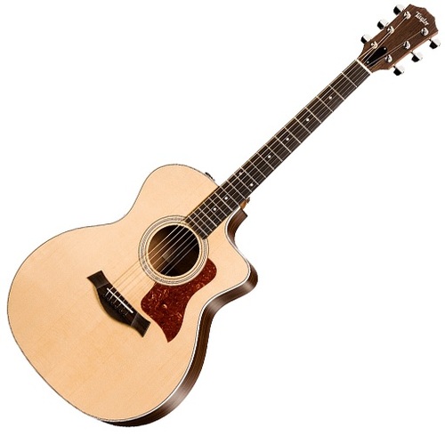 Taylor 214ce Rosewood ES2 픽업
